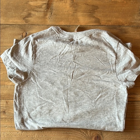 Gray Fitted Short Sleeve T-Shirt with Bold Text, Save Ferris - Picture 3 of 3